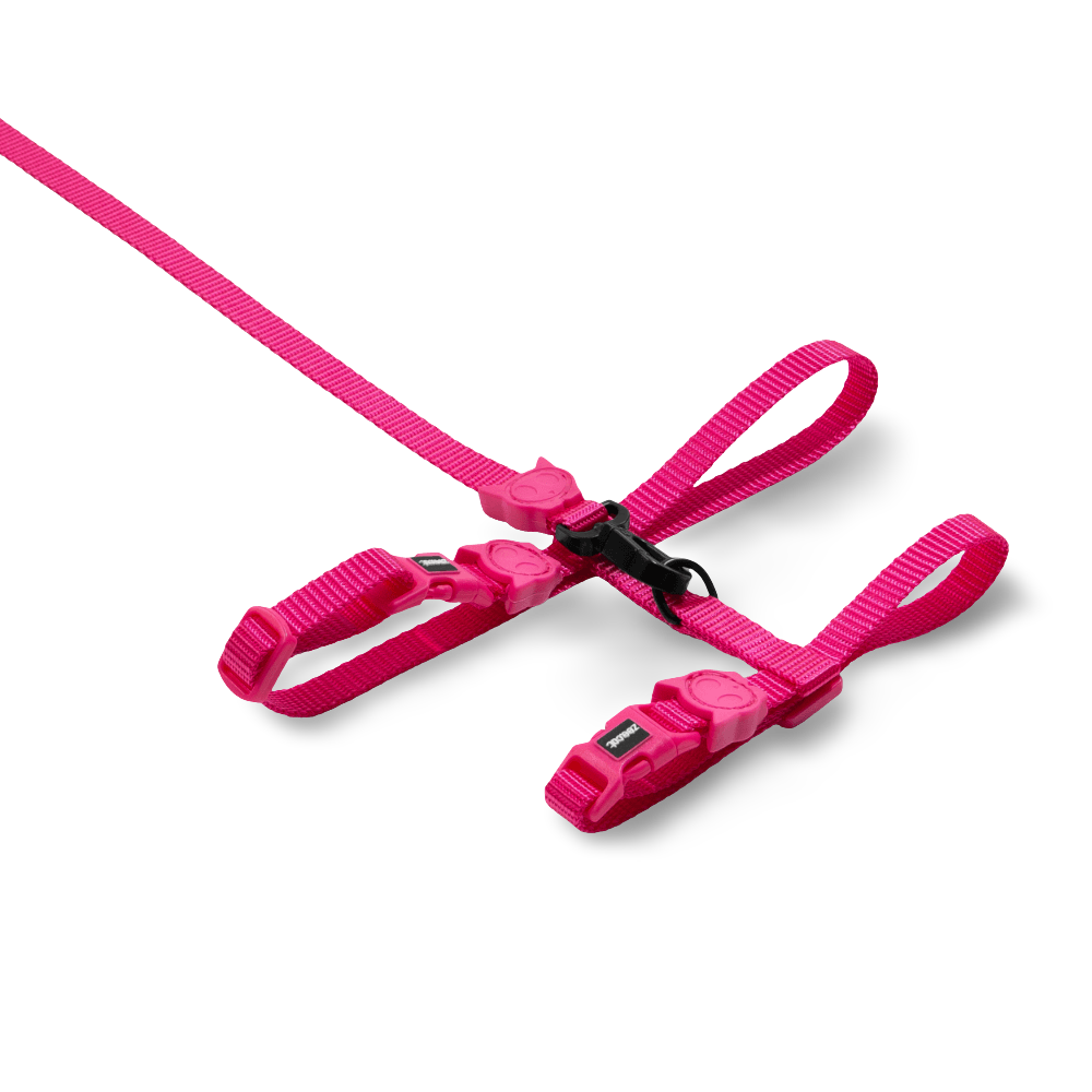 Harness And Leash Set Pink Led