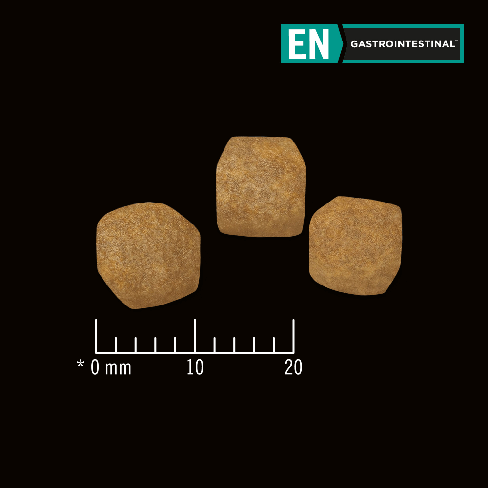Canine En Gastrointestinal Dry Dog Food 3 Canine En Gastrointestinal Dry Dog Food