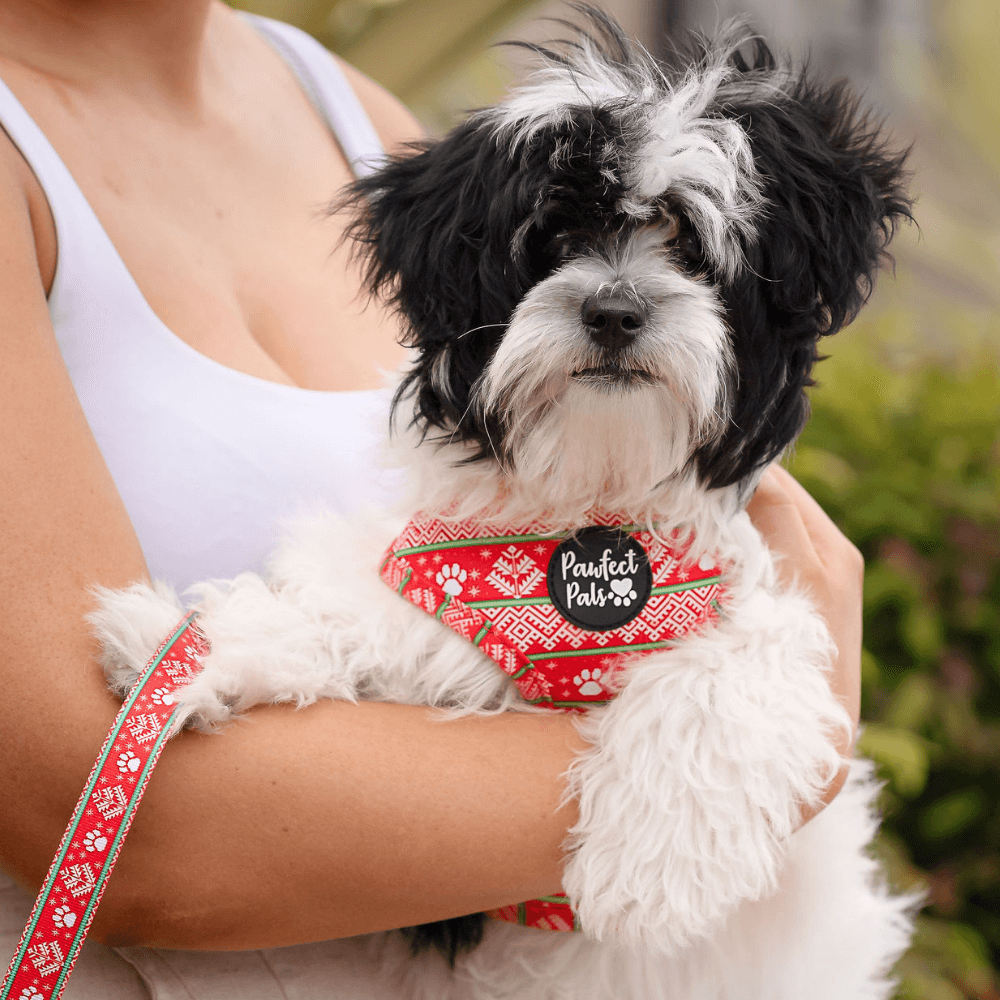 Christmas Reversible Harness 3 Christmas Reversible Harness