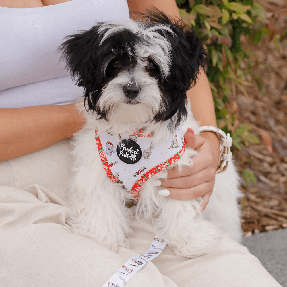 Christmas Reversible Harness 4 Christmas Reversible Harness