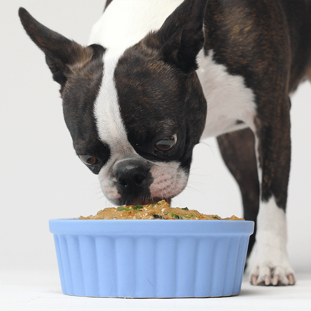 Beef Rustic Stew Wet Dog Food 4 Beef Rustic Stew Wet Dog Food