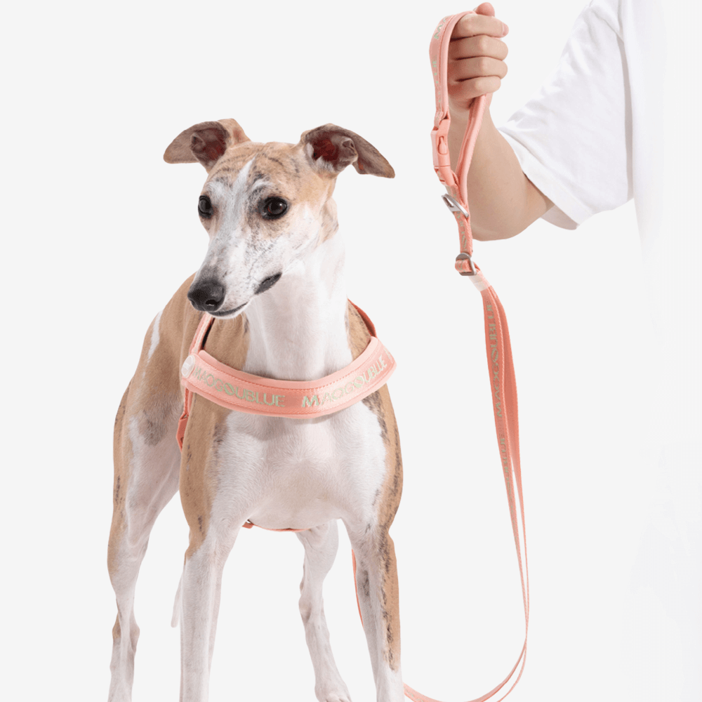 Wind Zinc Dog Leash Peach 1 Wind Zinc Dog Leash Peach