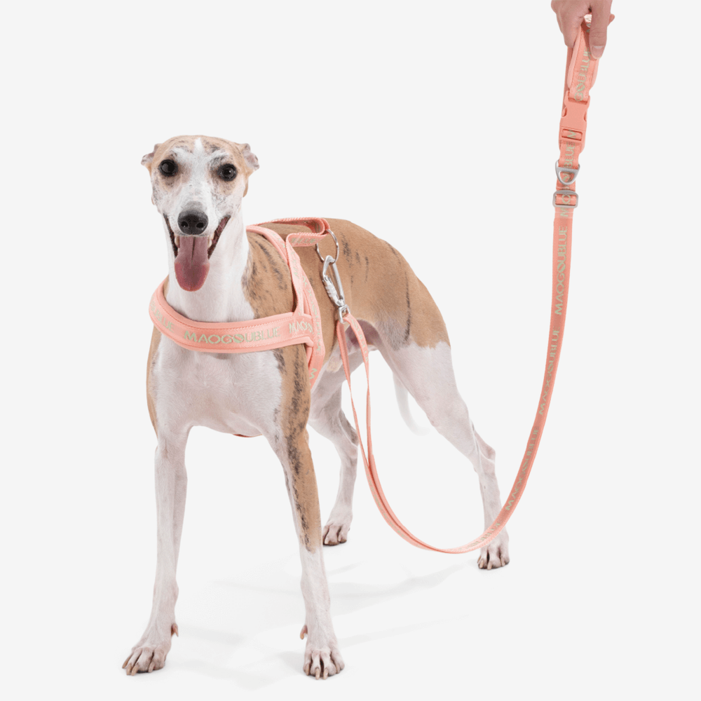 Wind Zinc Dog Leash Peach 2 Wind Zinc Dog Leash Peach