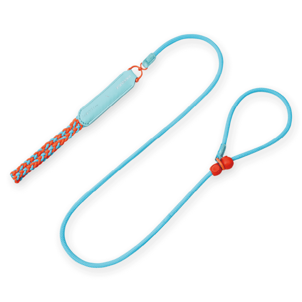 Training Dog Leash Blue 1 Training Dog Leash Blue