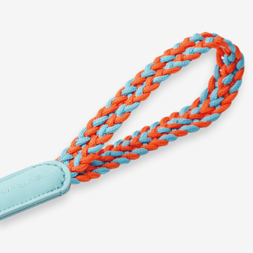 Training Dog Leash Blue 3 Training Dog Leash Blue