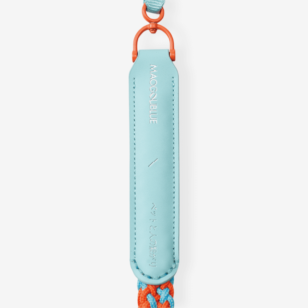 Training Dog Leash Blue 4 Training Dog Leash Blue