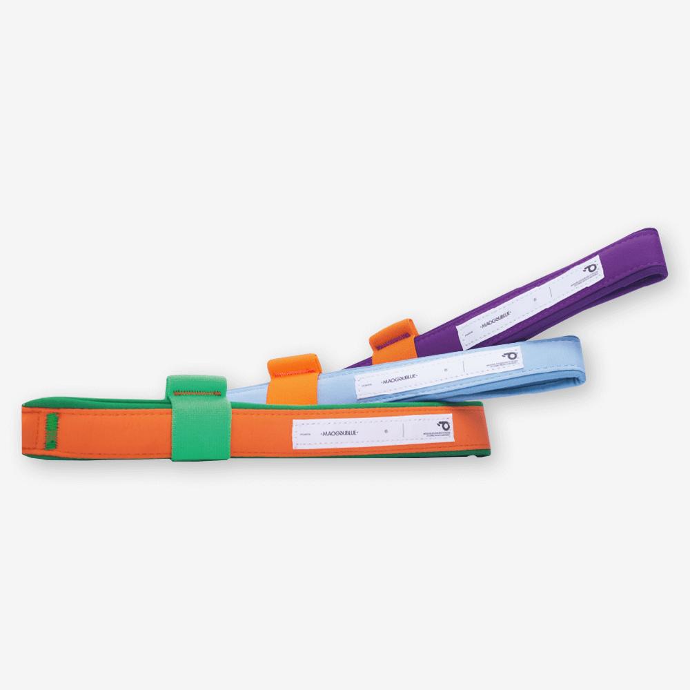 Dog Leash Neon Orange 4 Dog Leash Neon Orange