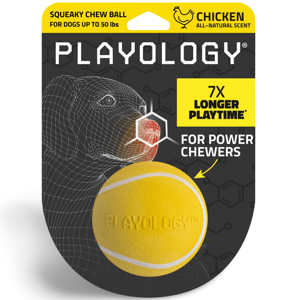 Squeaky Chew Ball Chicken 2 Squeaky Chew Ball Chicken
