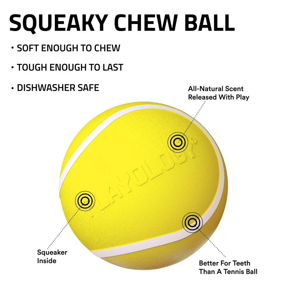 Squeaky Chew Ball Chicken 7 Squeaky Chew Ball Chicken