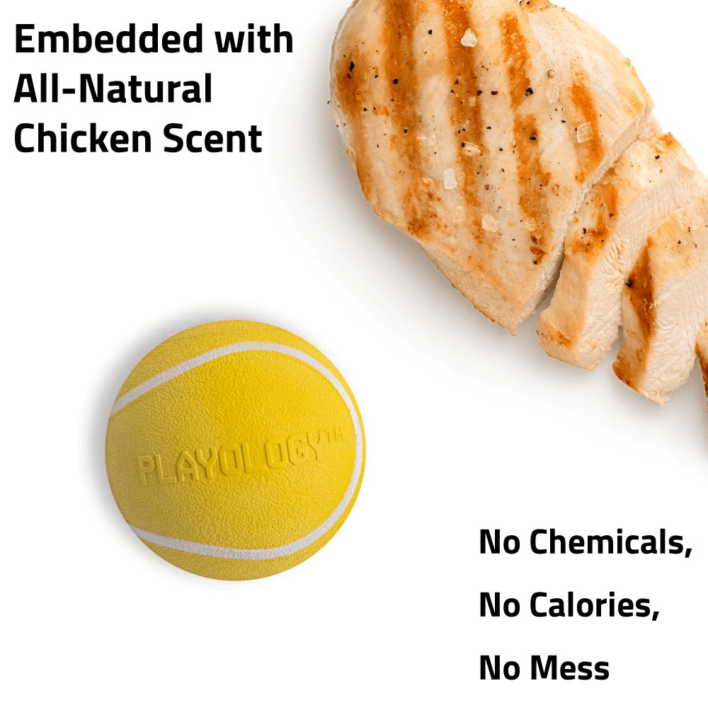 Squeaky Chew Ball Chicken 8 Squeaky Chew Ball Chicken