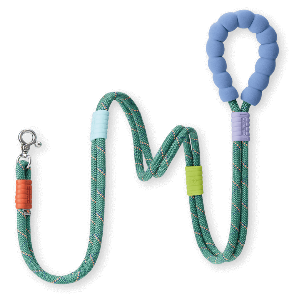Marshmallow Plus Dog Leash Green 1 Marshmallow Plus Dog Leash Green