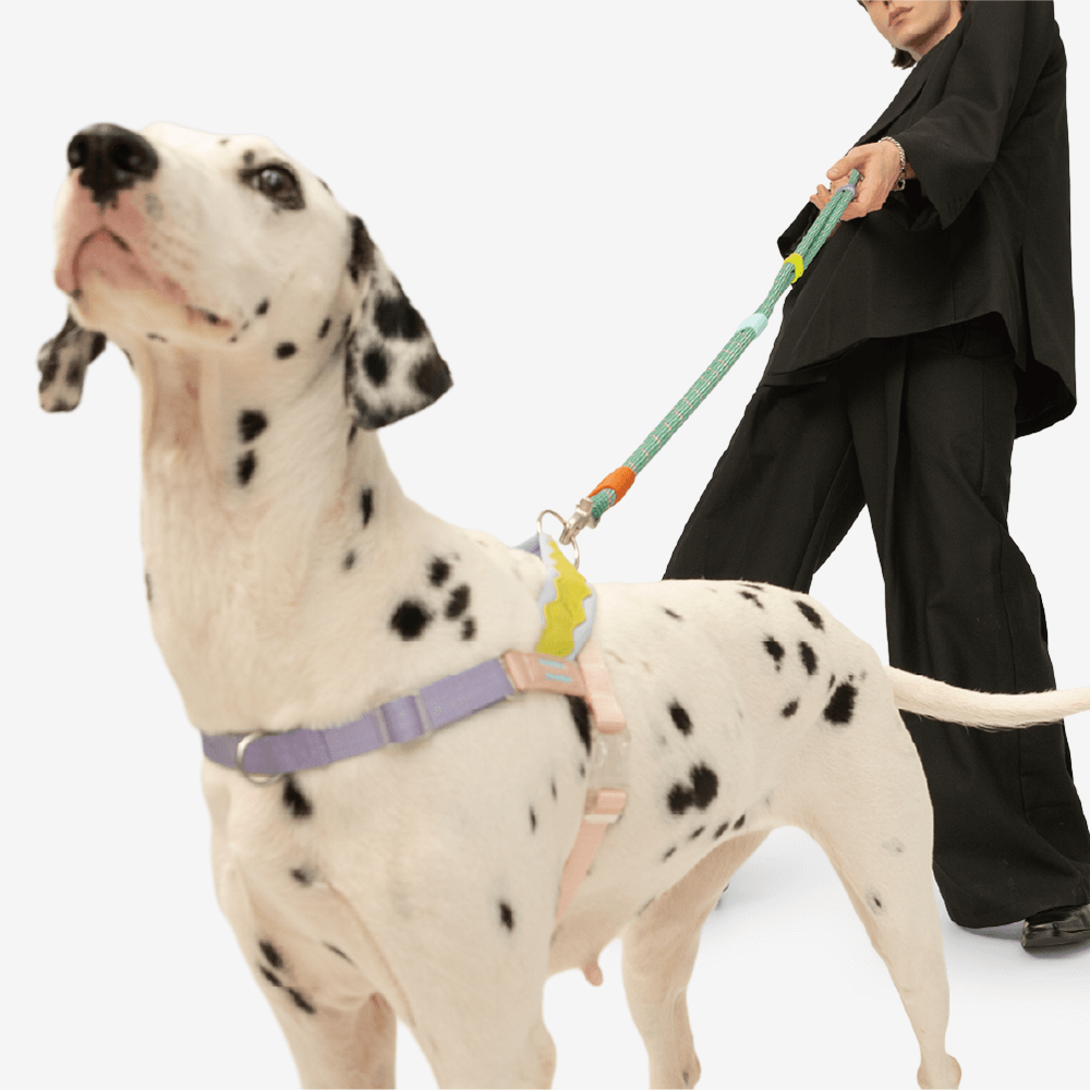 Marshmallow Plus Dog Leash Green 2 Marshmallow Plus Dog Leash Green