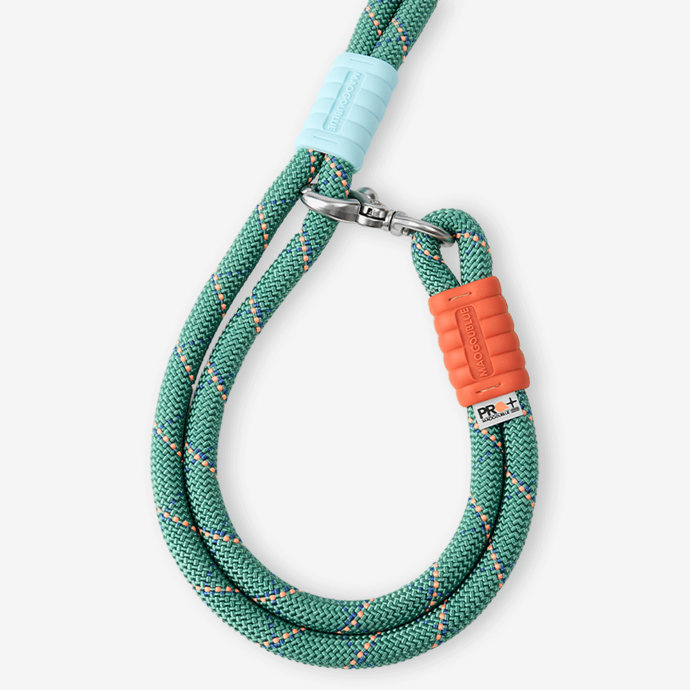 Marshmallow Plus Dog Leash Green 4 Marshmallow Plus Dog Leash Green