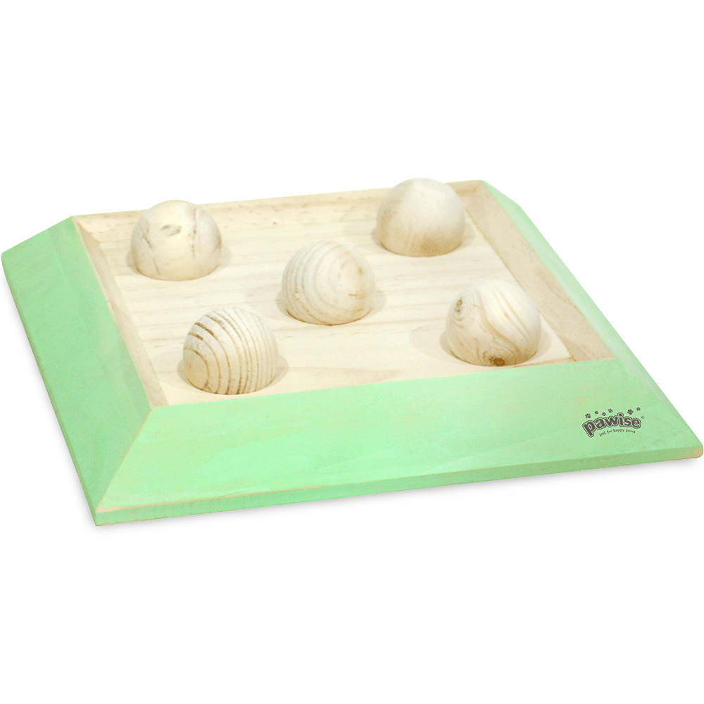 2 In 1 Training Game