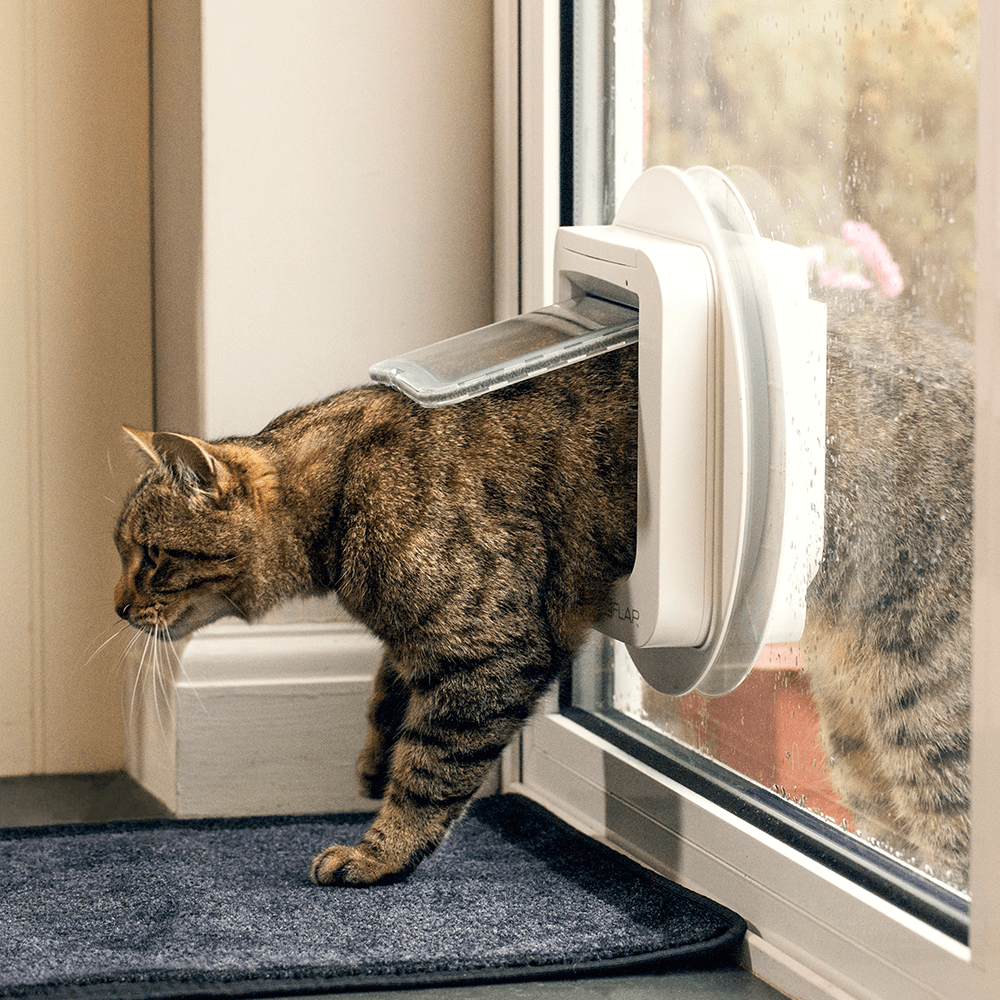 Microchip Cat Door 5 Microchip Cat Door