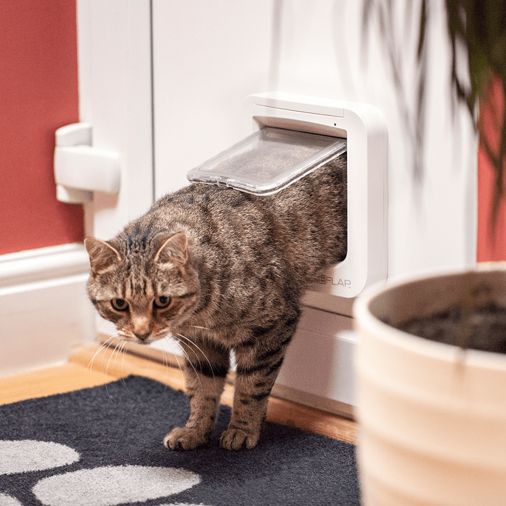 Microchip Cat Door 6 Microchip Cat Door