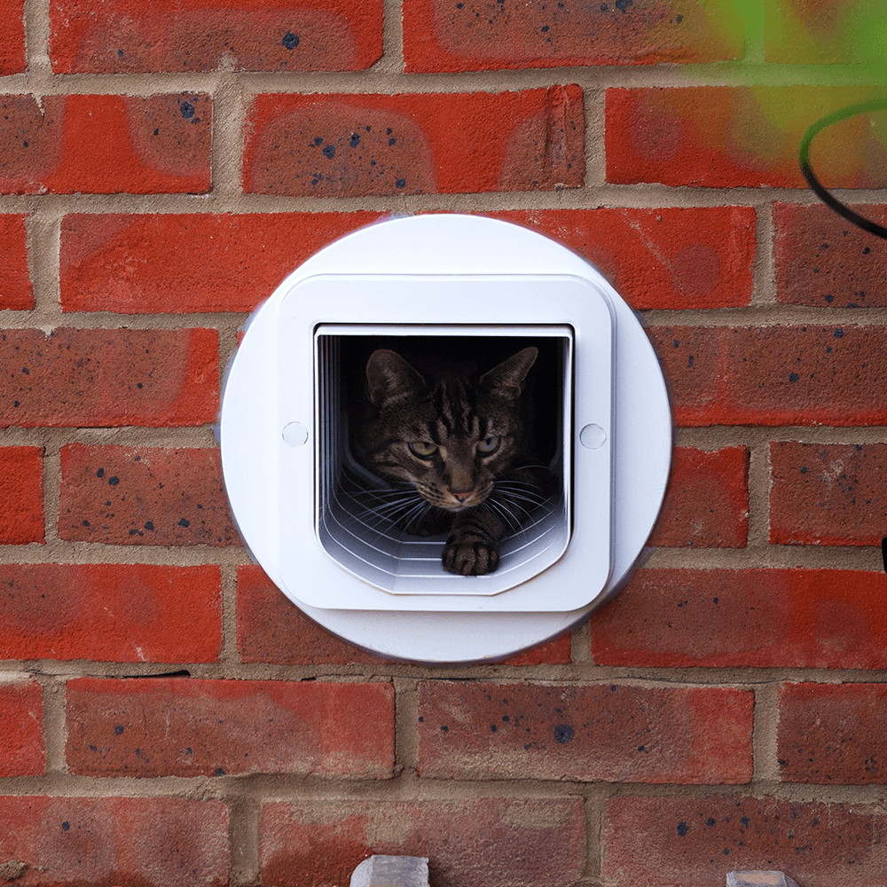 Microchip Cat Door 7 Microchip Cat Door