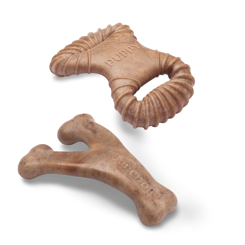 Bacon 2 Pack Puppy Tiny Dog Chew Toy 3 Bacon 2 Pack Puppy Tiny Dog Chew Toy