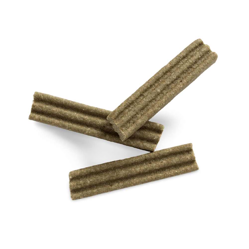 Small Dog Dental Bars 3 Small Dog Dental Bars