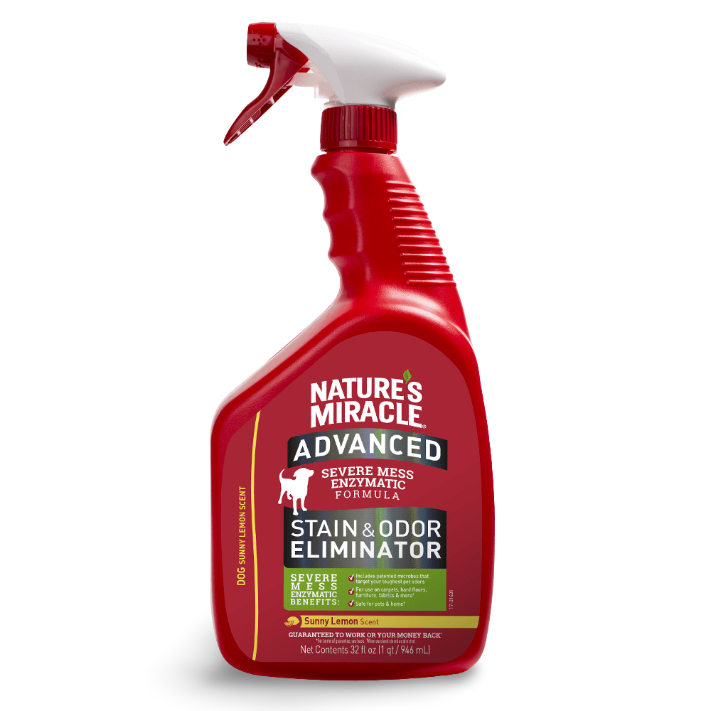 Advanced Formula Dog Stain And Odour Eliminator Sunny Lemon 1 Advanced Formula Dog Stain And Odour Eliminator Sunny Lemon