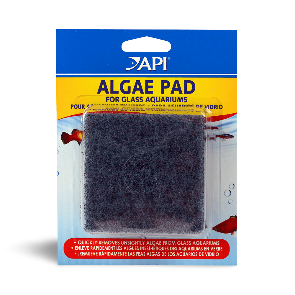 Hand Held Algae Pad For Glass