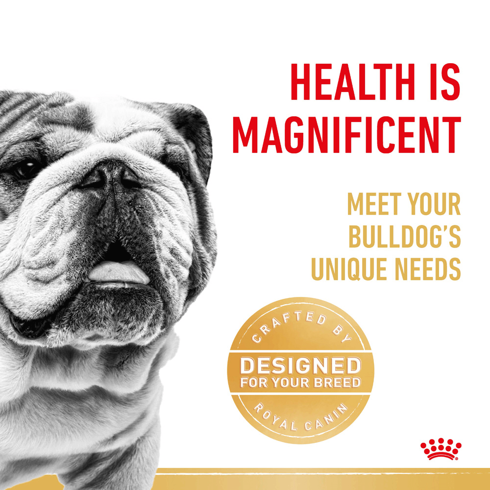 Bulldog Adult Dry Dog Food 3 Bulldog Adult Dry Dog Food