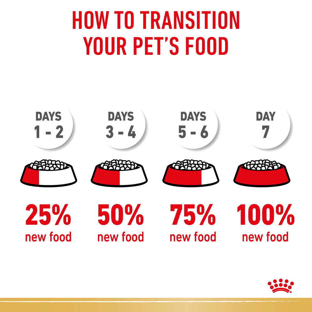 Bulldog Adult Dry Dog Food 5 Bulldog Adult Dry Dog Food