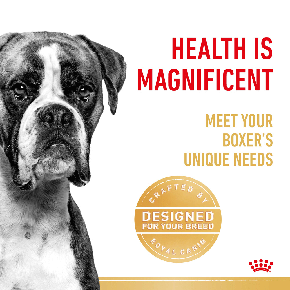 Boxer Adult Dry Dog Food 3 Boxer Adult Dry Dog Food