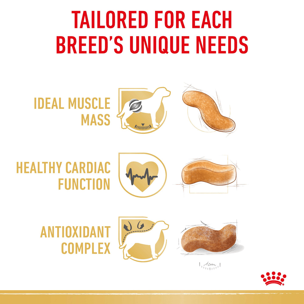Boxer Adult Dry Dog Food 4 Boxer Adult Dry Dog Food
