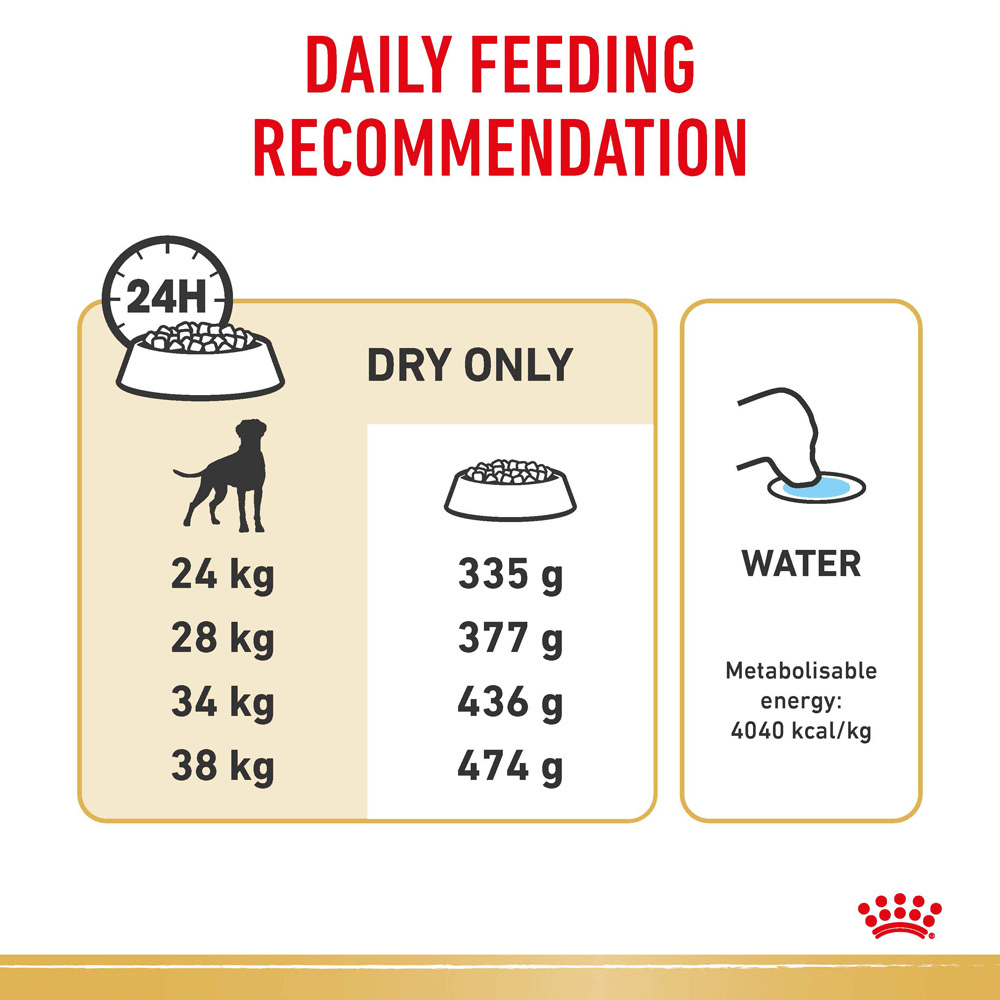 Boxer Adult Dry Dog Food 6 Boxer Adult Dry Dog Food