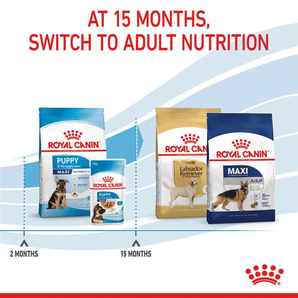 Maxi Puppy Dry Dog Food 10 Maxi Puppy Dry Dog Food