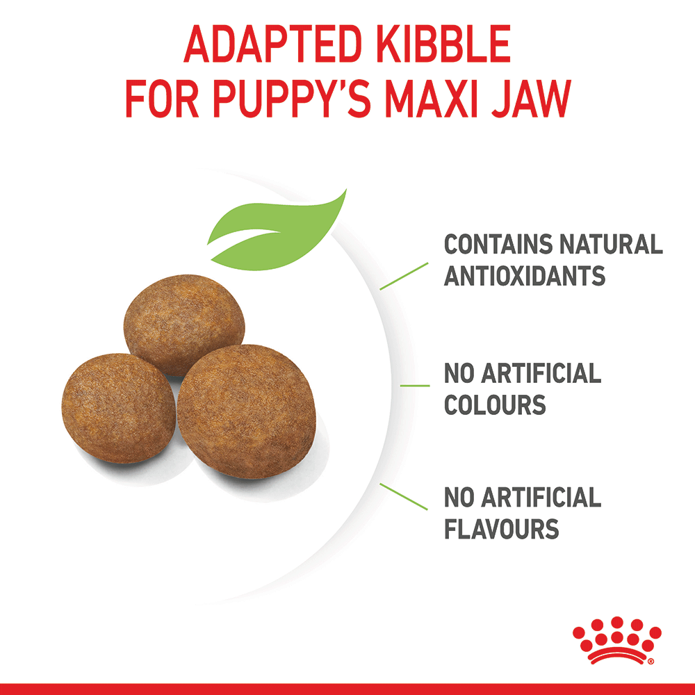 Maxi Puppy Dry Dog Food 11 Maxi Puppy Dry Dog Food