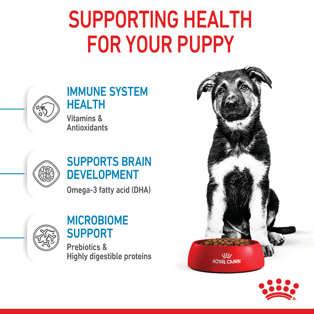 Maxi Puppy Dry Dog Food 7 Maxi Puppy Dry Dog Food