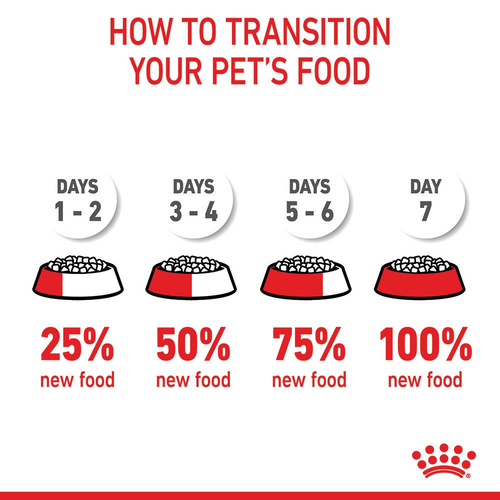 Maxi Puppy Dry Dog Food 8 Maxi Puppy Dry Dog Food