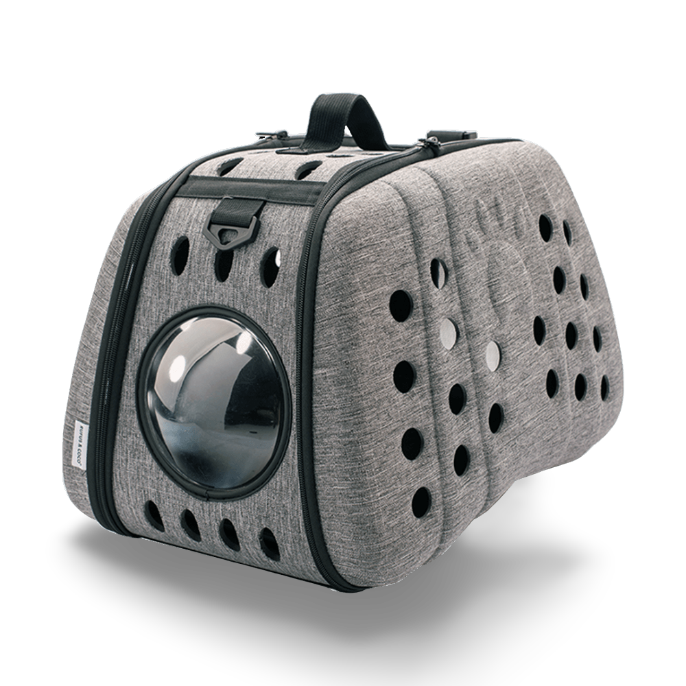 Collapsible Pet Carrier