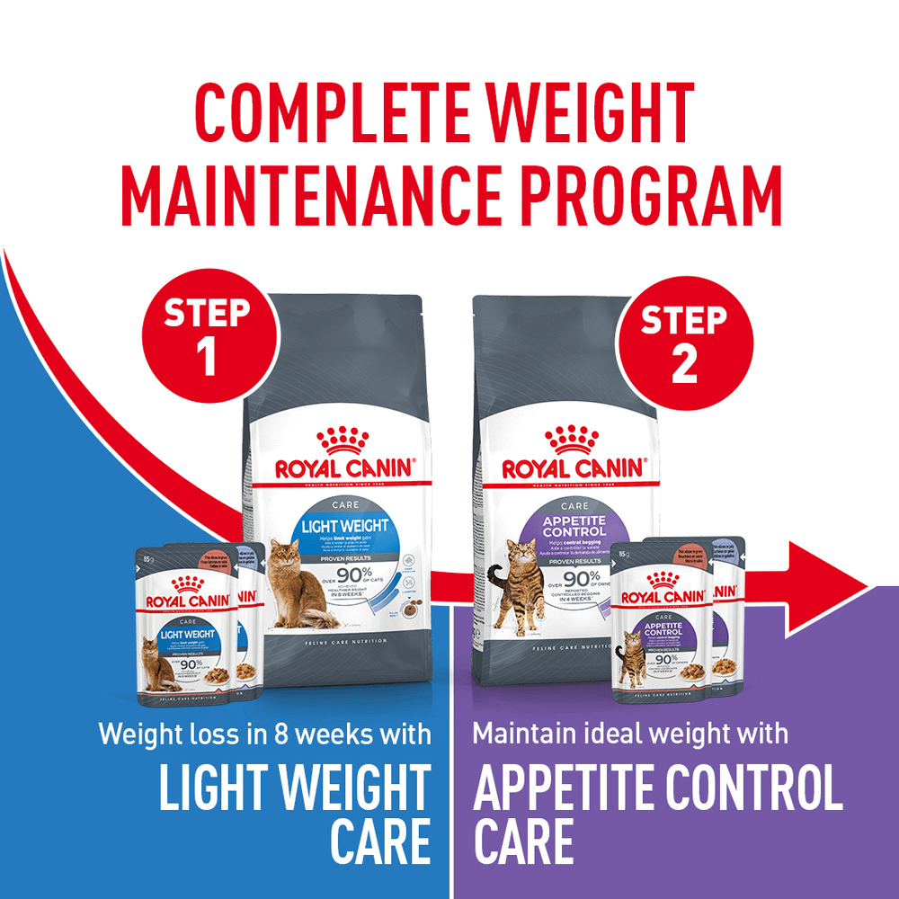 Appetite Control Jelly Adult Wet Cat Food Pouches 12 Appetite Control Jelly Adult Wet Cat Food Pouches