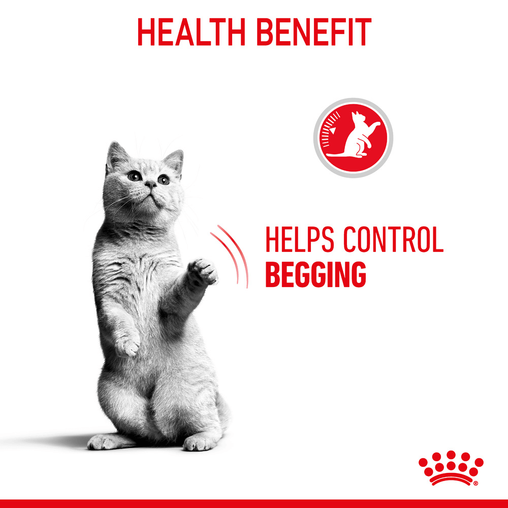 Appetite Control Jelly Adult Wet Cat Food Pouches 5 Appetite Control Jelly Adult Wet Cat Food Pouches