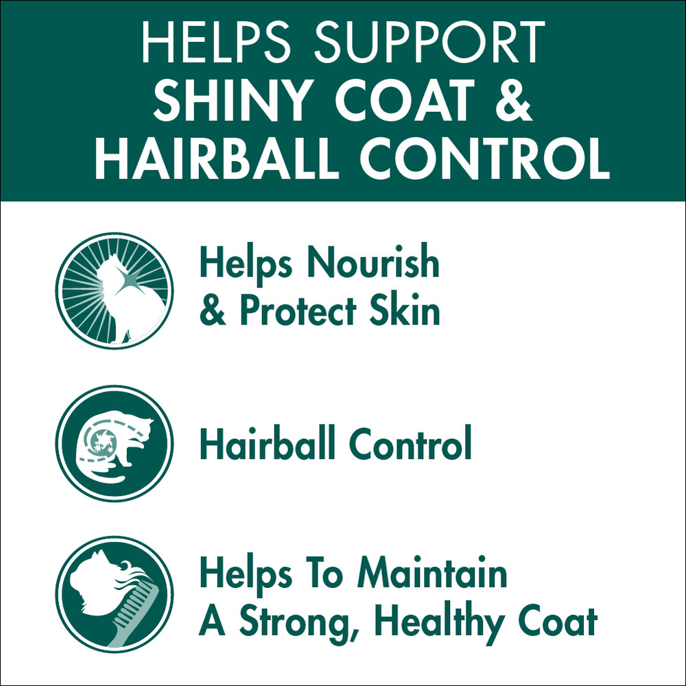 Adult Coat And Hairball Chicken Dry Cat Food 3 Adult Coat And Hairball Chicken Dry Cat Food
