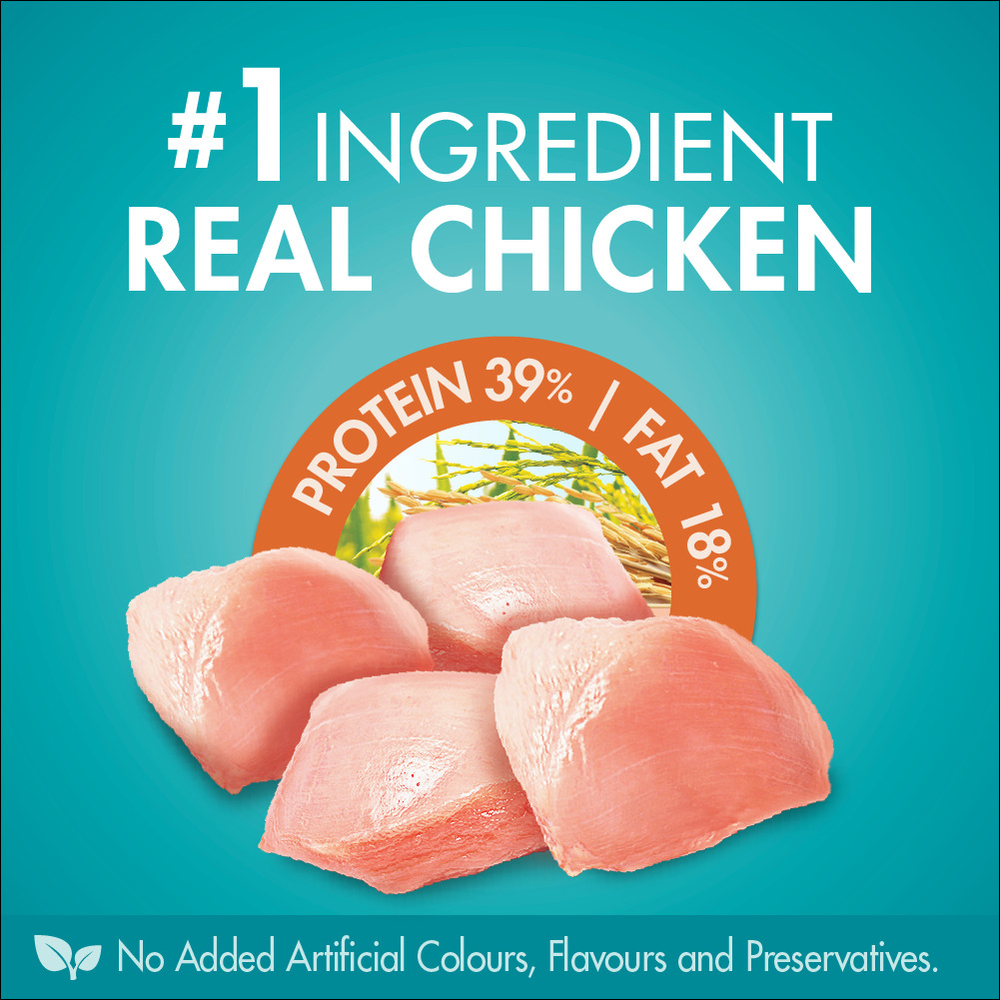 Adult Coat And Hairball Chicken Dry Cat Food 5 Adult Coat And Hairball Chicken Dry Cat Food