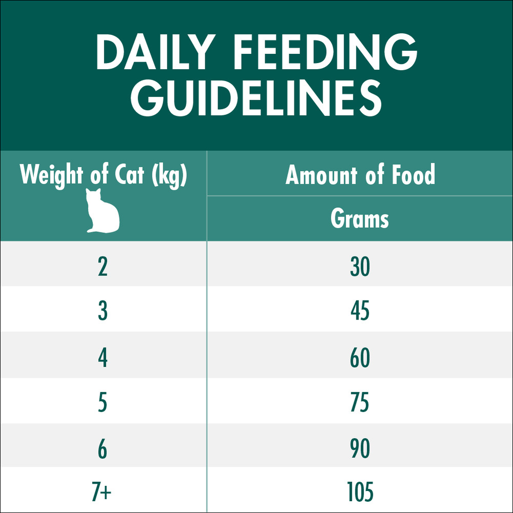 Adult Coat And Hairball Chicken Dry Cat Food 8 Adult Coat And Hairball Chicken Dry Cat Food