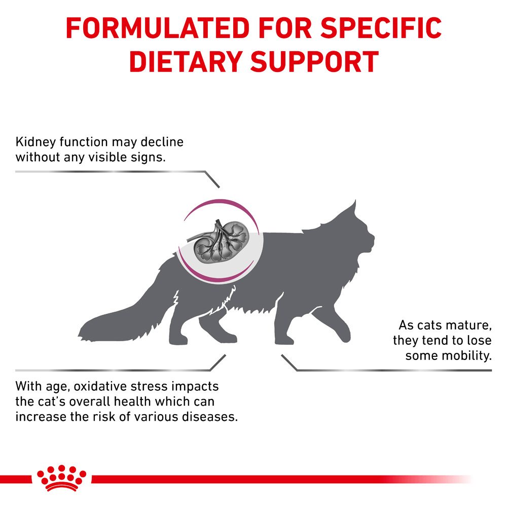 Royal Canin Veterinary Early Renal Dry Cat Food 2 Royal Canin Veterinary Early Renal Dry Cat Food