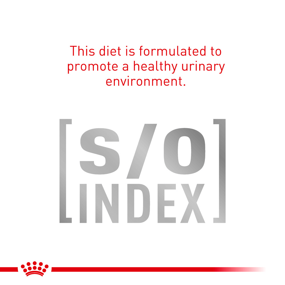 Royal Canin Veterinary Early Renal Dry Cat Food 5 Royal Canin Veterinary Early Renal Dry Cat Food