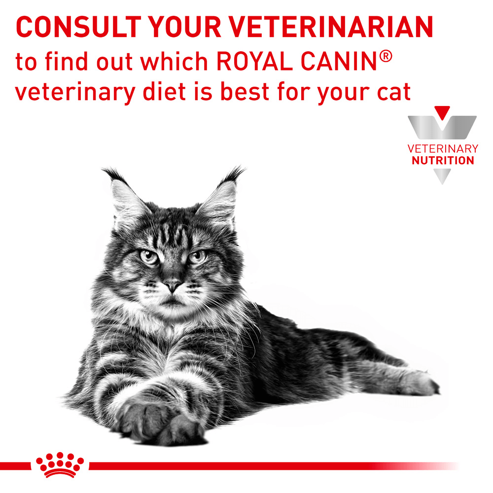 Royal Canin Veterinary Early Renal Dry Cat Food 8 Royal Canin Veterinary Early Renal Dry Cat Food
