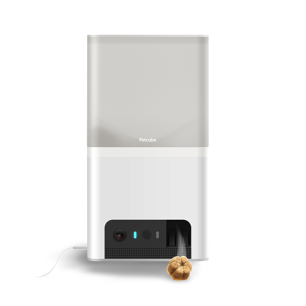 Bites 2 Lite Smart Hd Camera With Treat Dispenser