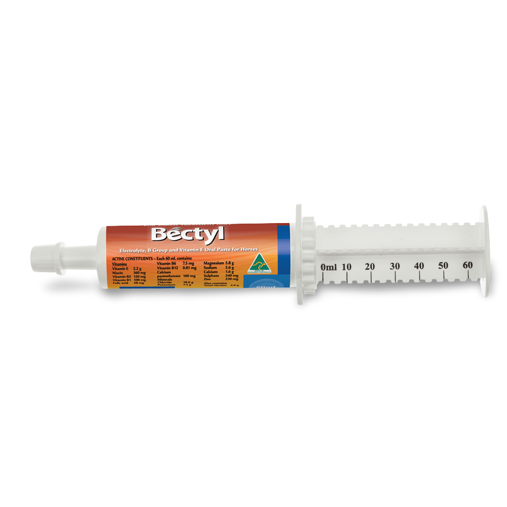 Vitamin And Electrolyte Paste