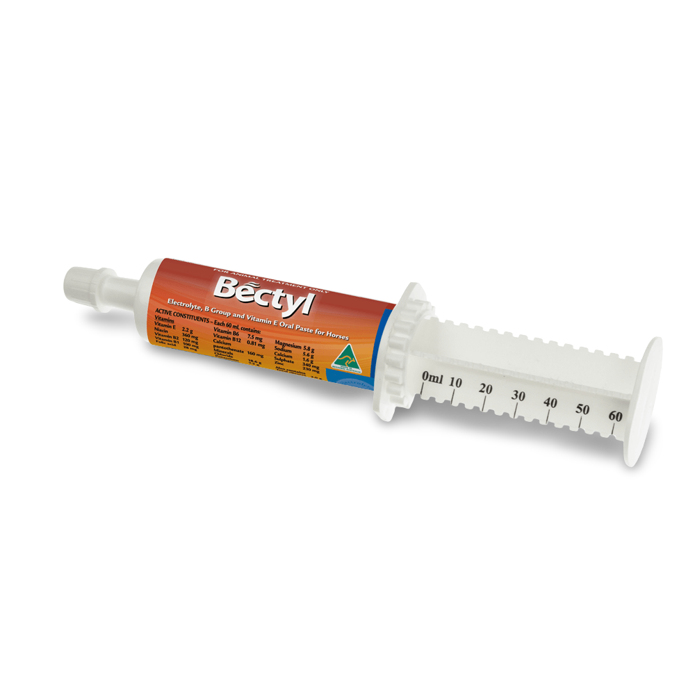 Vitamin And Electrolyte Paste 4 Vitamin And Electrolyte Paste