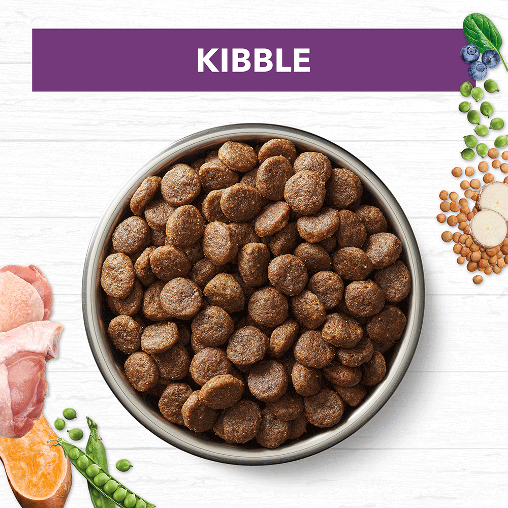 Grain Free Dry Dog Food Senior Adult Turkey 3 Grain Free Dry Dog Food Senior Adult Turkey