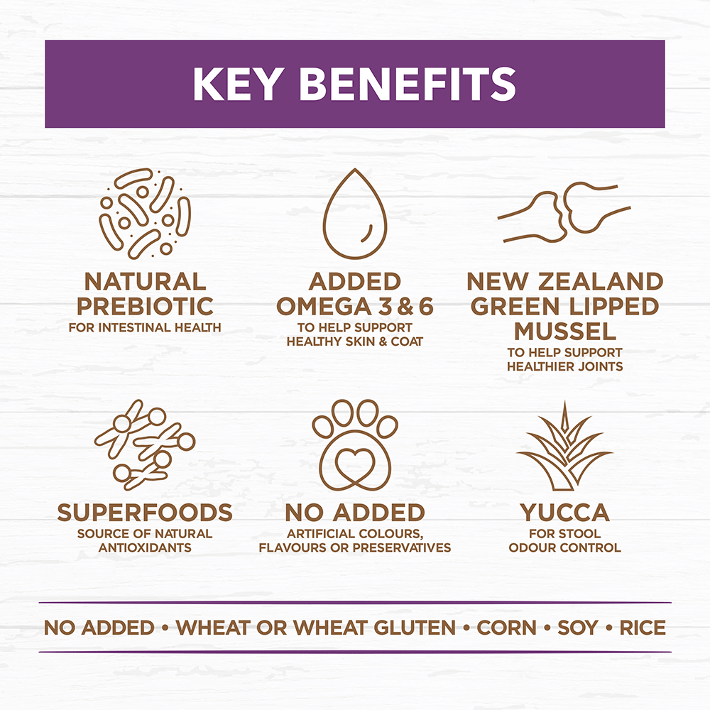 Grain Free Dry Dog Food Senior Adult Turkey 5 Grain Free Dry Dog Food Senior Adult Turkey