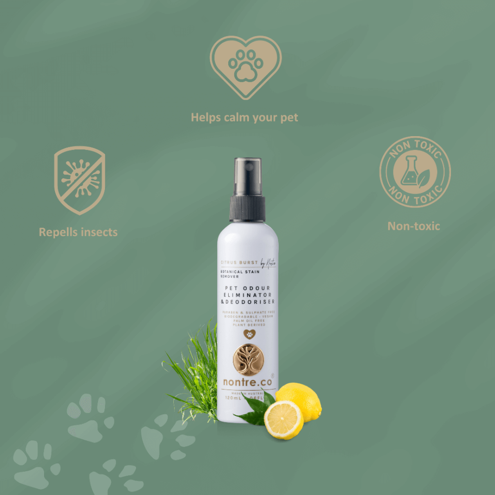 Pet Odour Eliminator And Odouriser Citrus Burst 4 Pet Odour Eliminator And Odouriser Citrus Burst