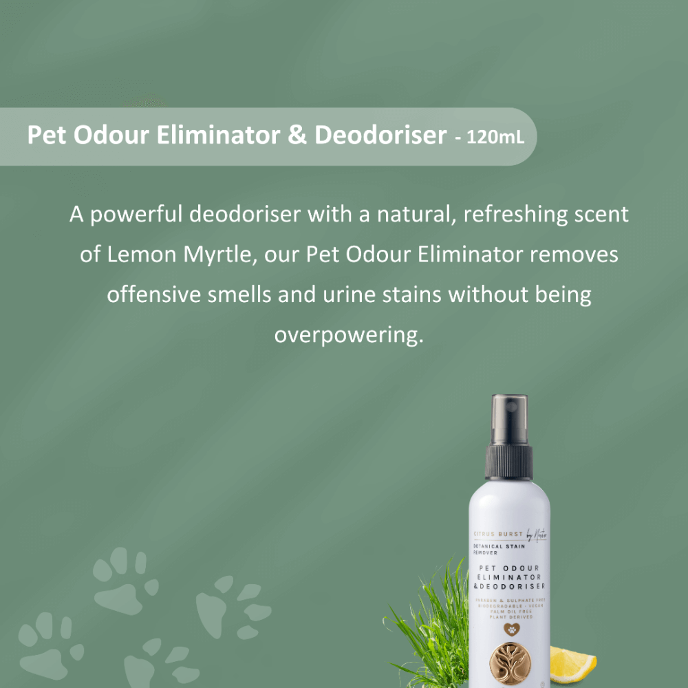 Pet Odour Eliminator And Odouriser Citrus Burst 5 Pet Odour Eliminator And Odouriser Citrus Burst
